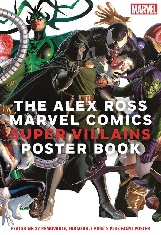 Alex Ross Marvel Comics Super Villains Poster Book Softcover